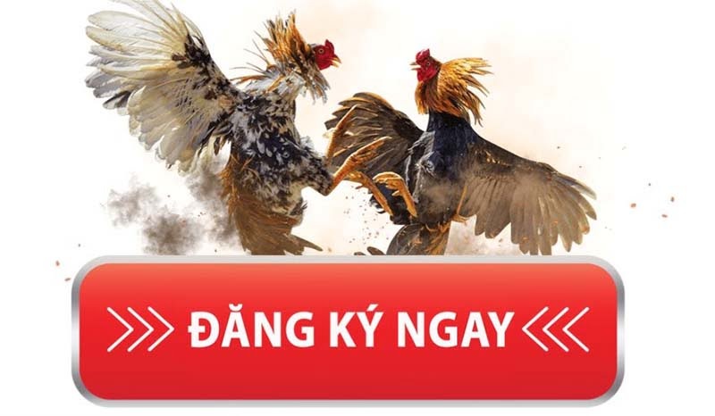 Đăng ký Dagathomo368